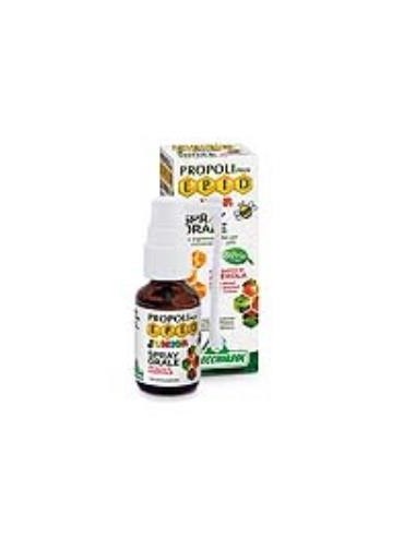 Epid Junior Spray Oral 15Ml. de Specchiasol