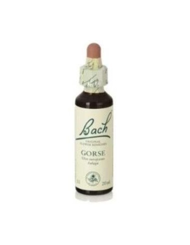 Flores Bach Gorse Aulaga 20Ml. de Flores Bach Original