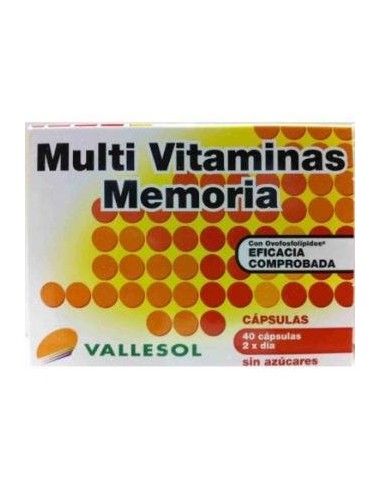 Vallesol Multivitaminico Memoria 40Cap. de Vallesol