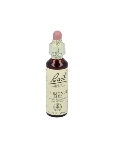 Flores Bach Chestnut Bud Brote Castaño 20Ml.