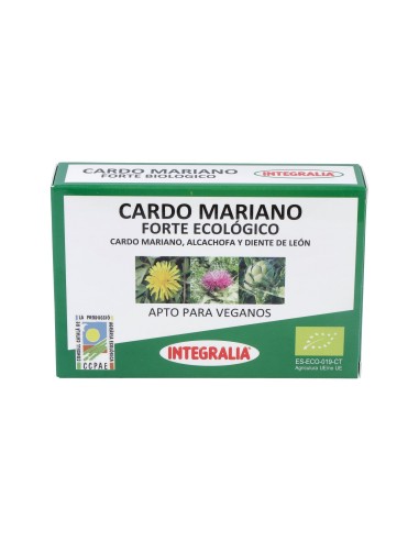 Cardo Mariano Forte Eco 60Cap.