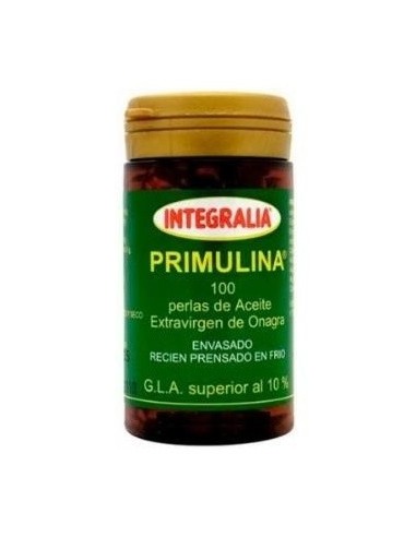 Primulina 100 Perlas