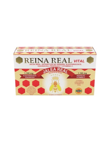 Reina Real Vital 30Amp