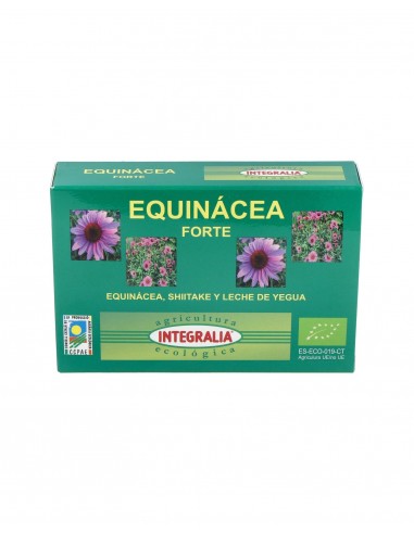 Echinacea Forte Eco 60Caps.