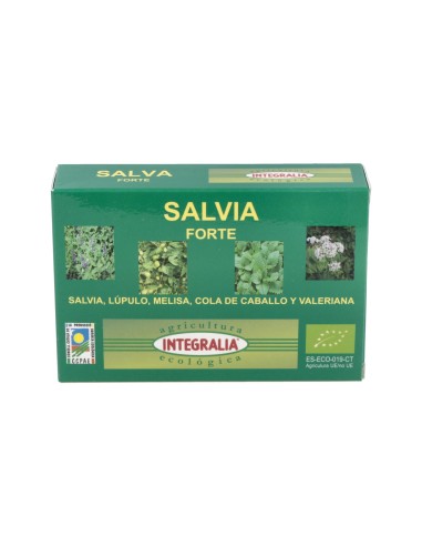 Salvia Forte Eco 60Caps.