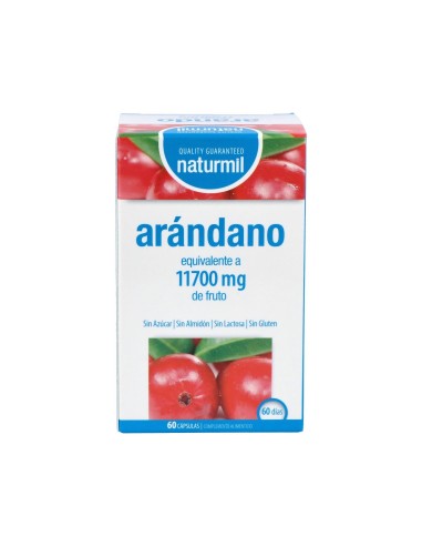 Arandano 90Mg. 60Cap.