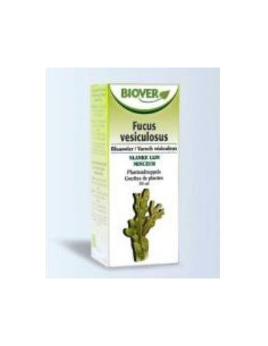 Tintura Fucus vesiculosus 50ml Biover