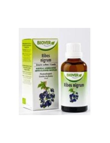 Tintura Grosellero Negro-Ribes nigrum Bio 50ml Biover