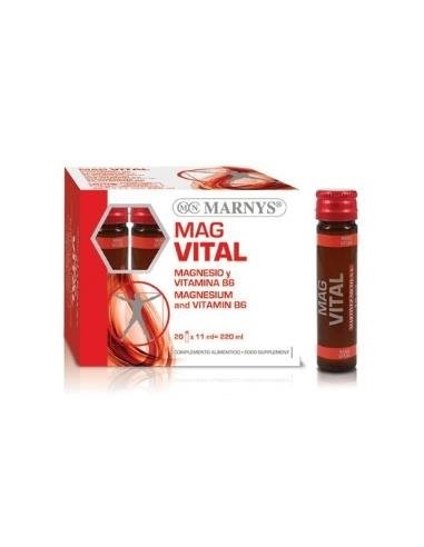 Magvital   20 Viales X 11Ml Marnys