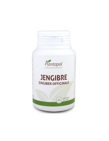 Jengibre (60 Cápsulas 600 Mg)