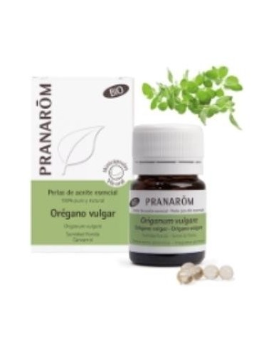 Oregano Vulgar Sumidad Florida Bio 60 Minicapsulas de Pranarom