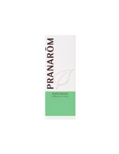 Artemisa Blanca Sumidad Florida 10 Ml de Pranarom