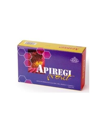 Apiregi Provit 20Amp. de Artesania