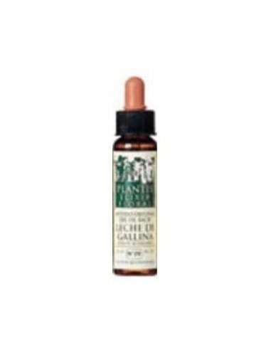 Centaury Plantis Flores De Bach Nº 04 10Ml. de Artesania