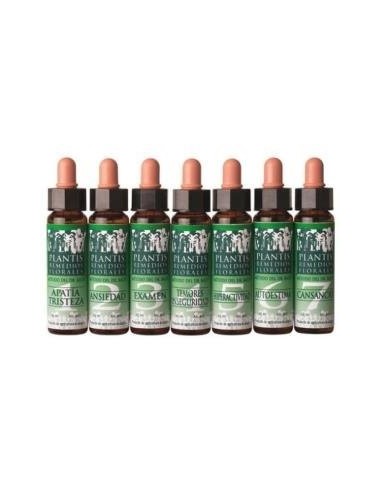 Remedio Plantis Nº 8 Descanso Nocturno 10Ml. Eco de Artesania