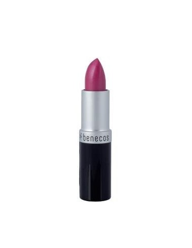 Barra De Labios Hot Pink 4,5 Gramos Benecos