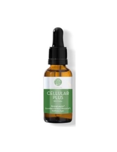 Segle Cellular Plus Serum 15Ml. de Segle Clinical