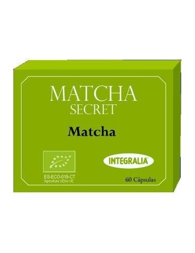 Matcha Ecológico de Integralia.