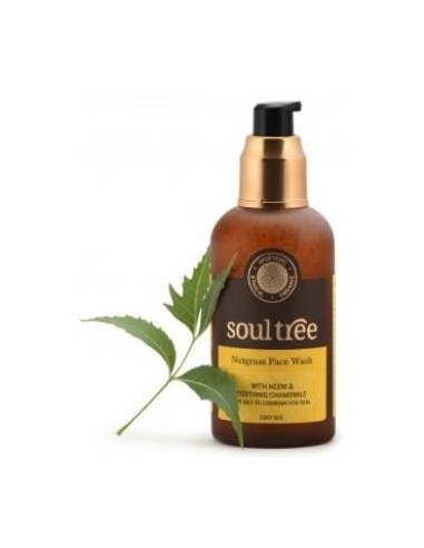 Gel Limpiador Facial Nutglass Y Neem 120 Mililitros Soultree