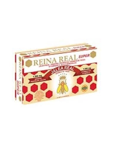 Reina Real Super 20Amp de Robis