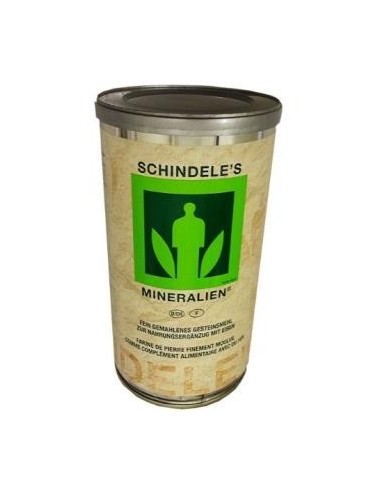 Mineralien Polvo 400 Gramos Schindeles