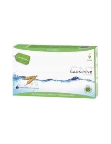 Pack 3X2 L-Carnitina 20Viales de Novadiet.