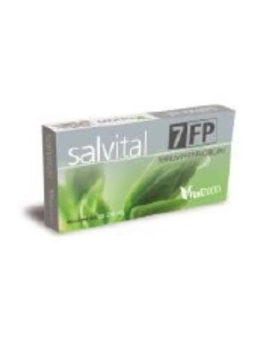 Salvital Nº7 Fp Ferrum Phosphoricum 40Cap. de Vital 2000