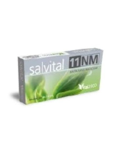 Salvital Nº11 Nm Natrum Muriaticum 40Cap. de Vital 2000