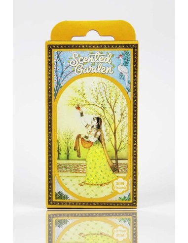 Patchouli Cono Incienso Scented Garden de Radhe Shyam