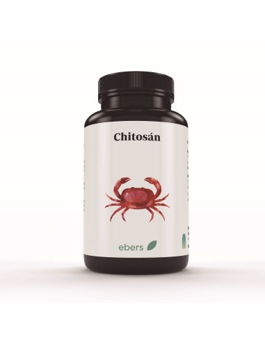 Chitosan 400 Mg 60 Caps de Ebers