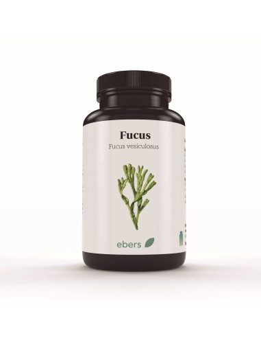 Fucus 500 Mg 100 Comp de Ebers