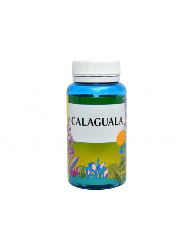 Calaguala 90 Cáp. de Espadiet