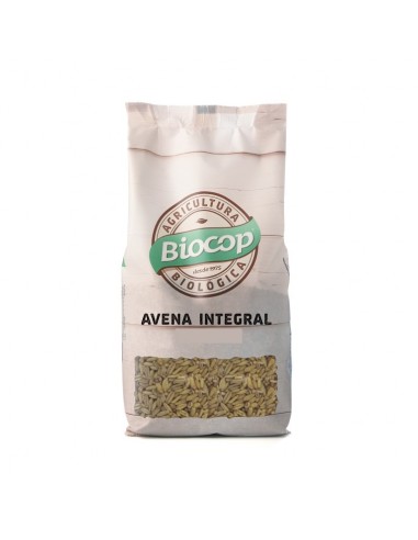 Avena 500 G de Biocop