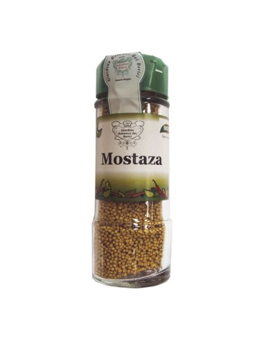 Condimento Mostaza Grano 60 G de Biocop