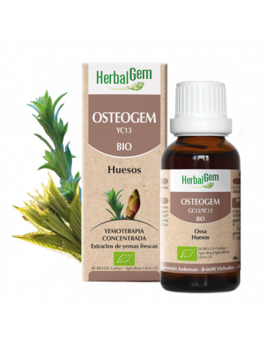 Osteogem Gc13 Bio 50 Ml de Herbalgem