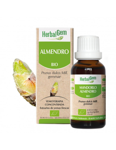 Almendro Bio 50 Ml de Herbalgem