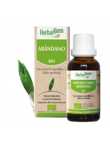 Arandano Bio 50 Ml de Herbalgem