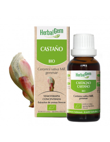 Castaño Bio 50 Ml de Herbalgem