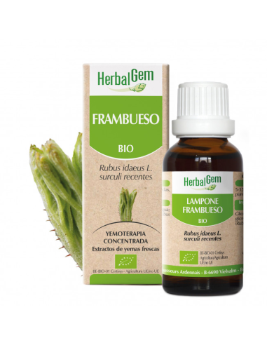 Frambueso Bio 50 Ml de Herbalgem