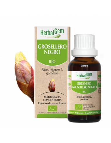 Grosellero Negro Bio 50 Ml de Herbalgem