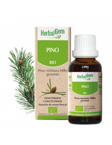 Pino Bio 50 Ml de Herbalgem