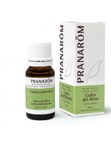 Cedro Del Atlas Madera 10 Ml de Pranarom