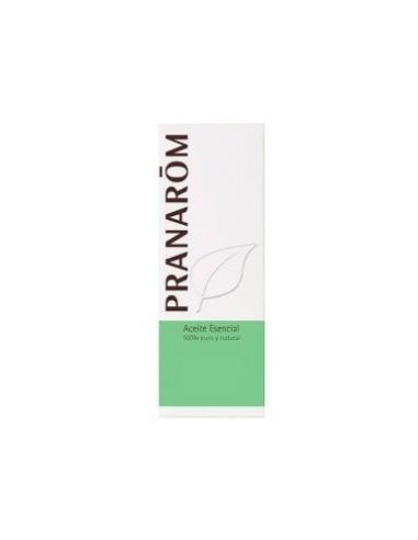 Enebro Comun Rama Y Retoño 5 Ml de Pranarom