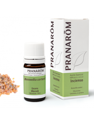 Incienso Oleoresina 5 Ml de Pranarom