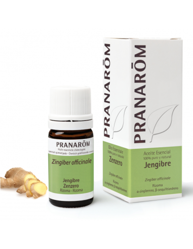 Jengibre Rizoma 5 Ml de Pranarom