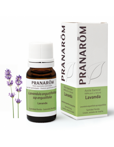 Lavanda Sumidad Florida 10 Ml de Pranarom