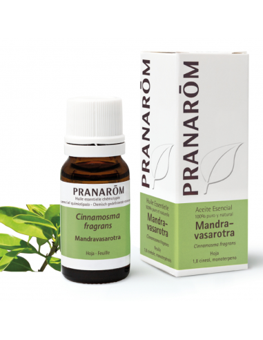 Mandravasarotra Hoja 10 Ml de Pranarom