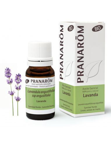 Lavanda Sumidad Florida Bio 10 Ml de Pranarom