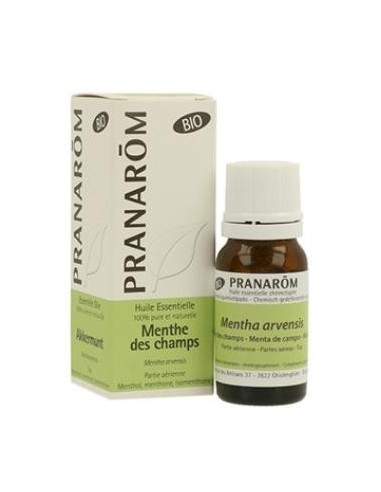 Menta De Campo Partes Aereas Bio 10 Ml de Pranarom