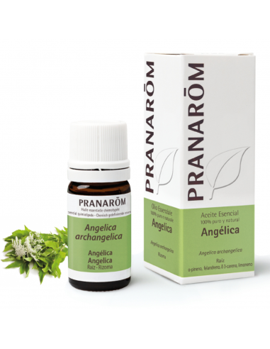 Angelica Raiz 5 Ml de Pranarom